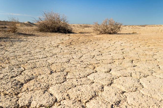To największa katastrofa ekologiczna w dziejach. "Każdy podmuch wiatru jest potencjalnym atakiem chemicznym"