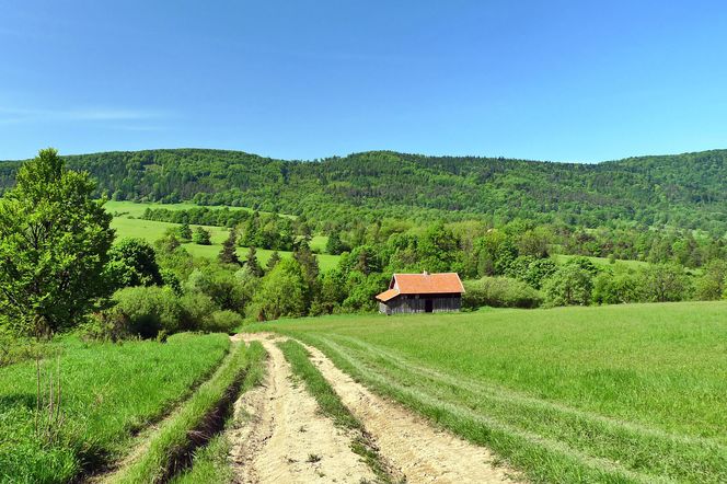 Beskid Niski