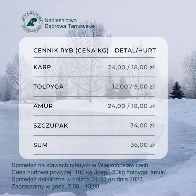 Ceny ryb w Wierzchosławicach 