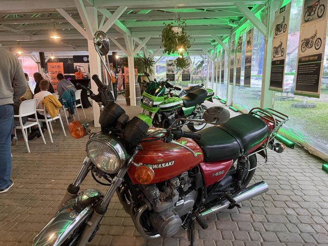 Festiwal Green Days Kawasaki