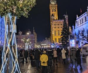 Gdańska choinka rozbłysła. Zobaczcie nasze zdjęcia!