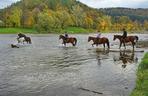 Bieszczady po sezonie - co zwiedzić?