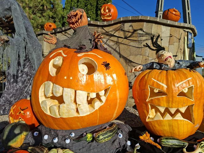 U Łukasza z Pawłowa hasło "cukierek albo psikus" nabiera innego wymiaru. Najbardziej halloweenowy dom świętokrzyskiego