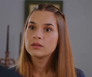 Miłość i nadzieja odc. 289. Kuzey, Sila