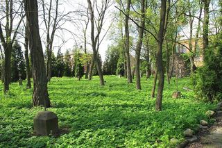 Płonka Kościelna na Podlasiu