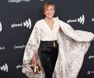 Nagi Instynkt wraca! Ale bez Sharon Stone. Gwiazda tak to podsumowała!