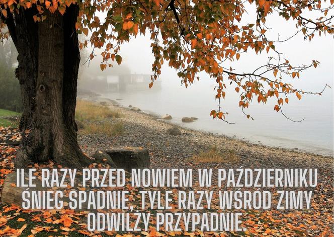 Jesienne przysłowia ludowe. Oto mądrości naszych dziadów!