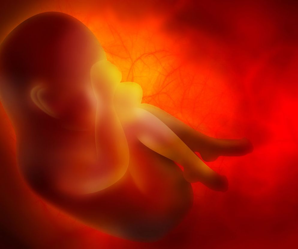 4 miesiąc ciąży: płód ma już linie papilarne