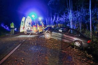 Pomorskie. Tragiczna śmierć 30-latka. Wjechał w drzewo i zginął