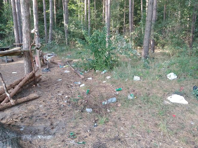 Las nieopodal ulicy Szmaragdowej tonie w śmieciach. 
