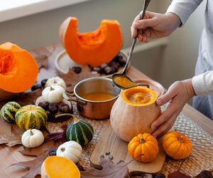 Czy dynia naprawdę jest zdrowa? Naukowcy ostrzegają przed toksynami w niektórych odmianach