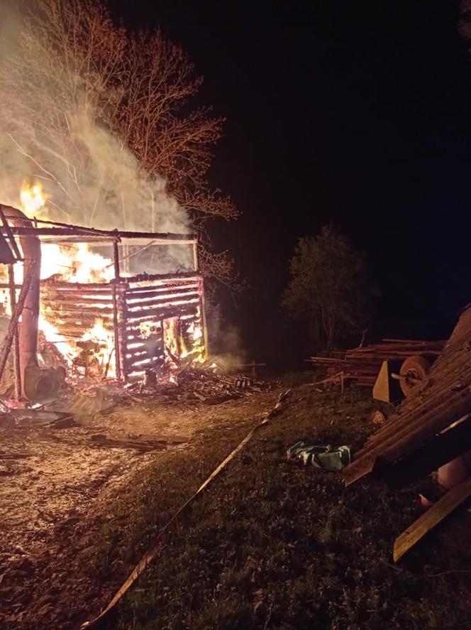 Straszny pożar w Łomnicy-Zdroju. Zginęły zwierzęta