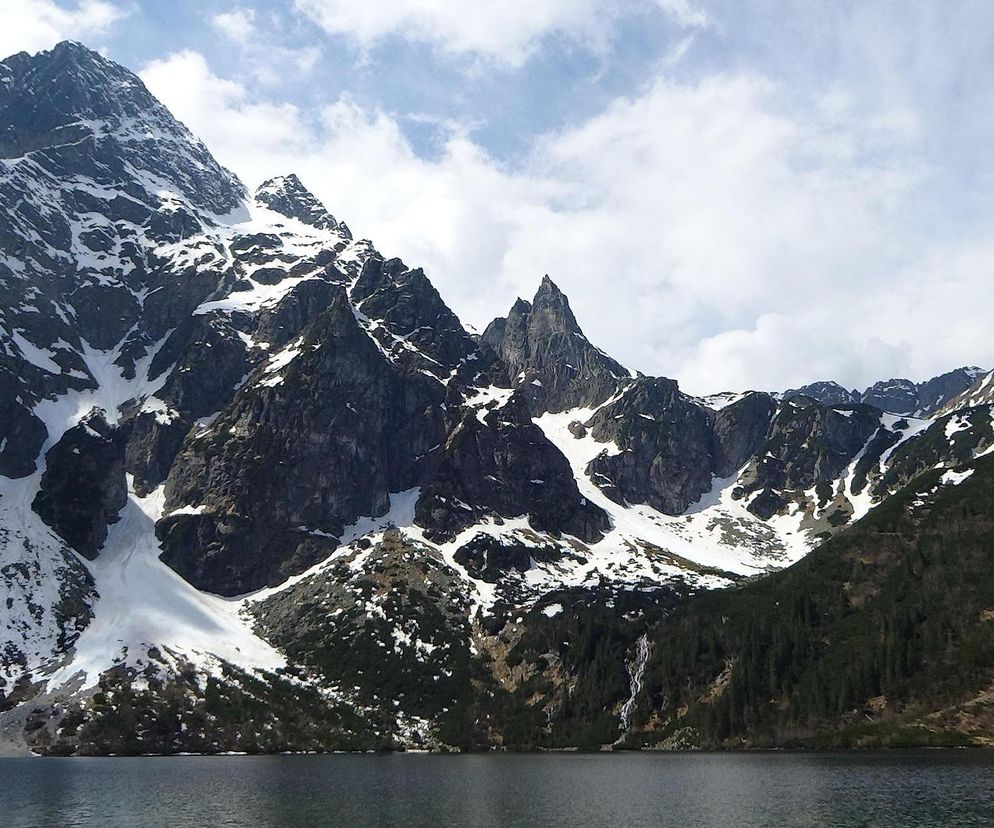 Tatry/ Silny wiatr utrudnia ruch turystyczny, drzewo zatarasowało drogę do Morskiego Oka