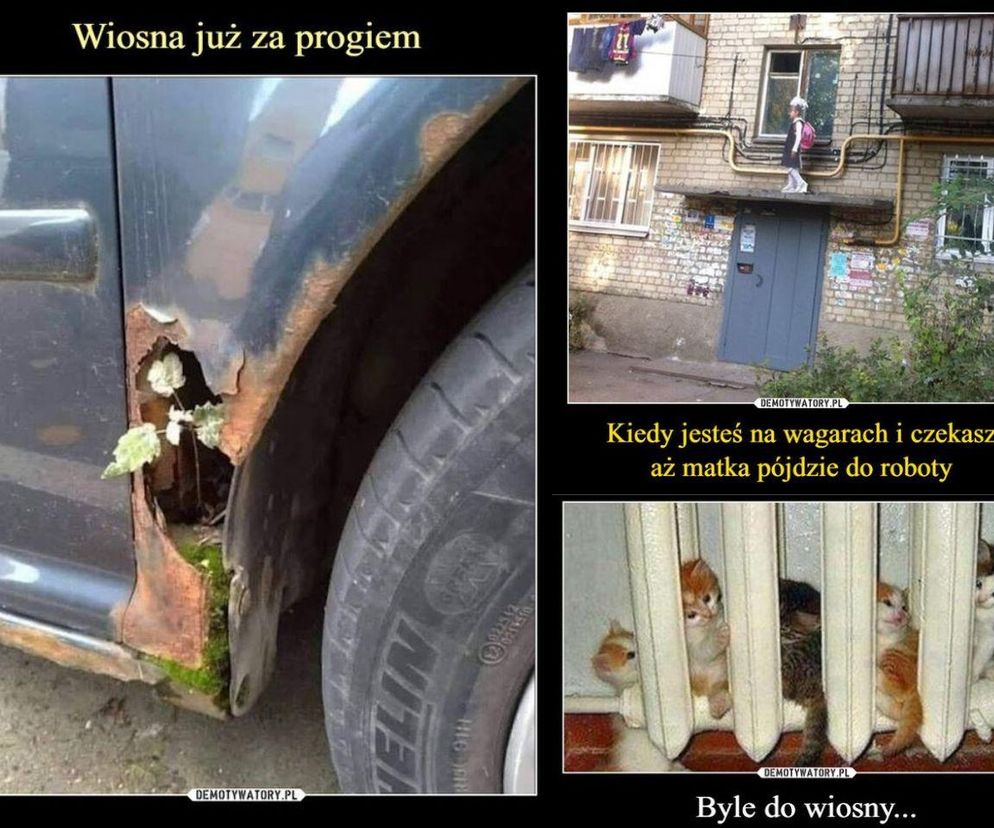 MEMY: 1 Dzień wiosny i Dzień Wagarowicza