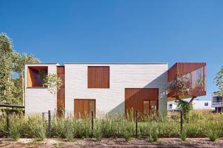 Oryginalny bliźniak