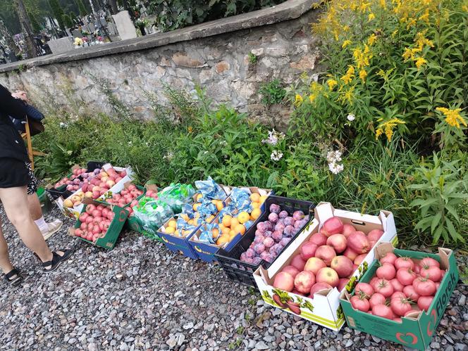 46. Lubelska Piesza Pielgzrymka od kuchni