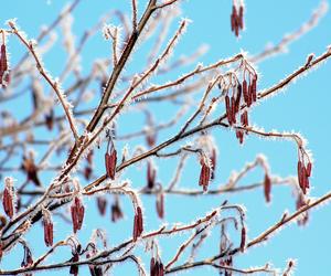 Pogoda w Bydgoszczy. Jest ostrzeżenie meteo o przymrozkach 