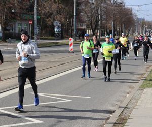 21. Bieg „Recordowa Dziesiątka - zdjęcia z trasy