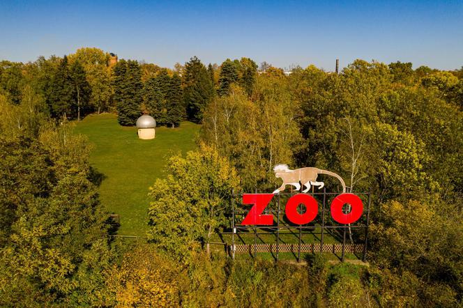 Zoo Płock znowu otwarte! Jak reagują zwierzęta?