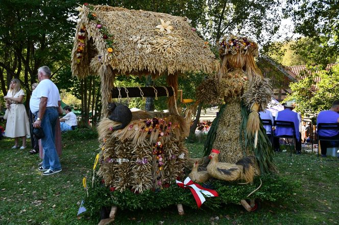 Tłumy na dożynkach w Olsztynku. Zobacz, jak wyglądało tegoroczne święto plonów