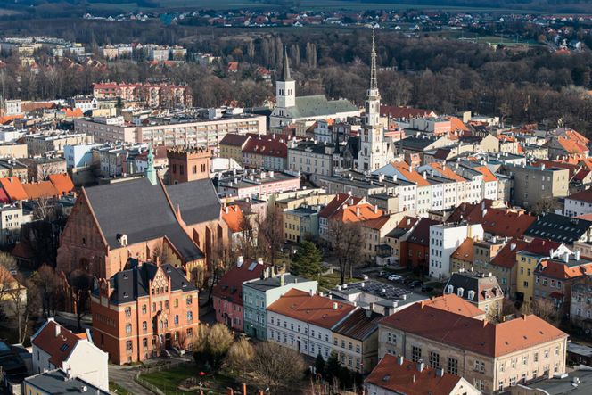 Polskie miasto zachwyciło zagraniczną turystkę. To perła Dolnego Śląska