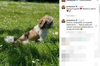 Kolejna śmierć w rodzinie Ani Przybylskiej! Jarosław Bieniuk pożegnał kogoś ważnego