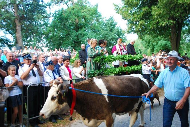 Mikstacka Arka Noego. Błogosławieństwo zwierząt podczas odpustu św. Rocha w Mikstacie
