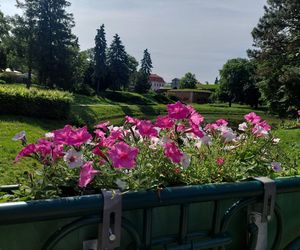 Park Miejski w Zamościu