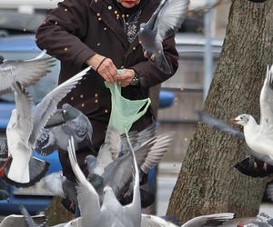 Anna Chodakowska. Gwiazda Labiryntu wśród ptaków