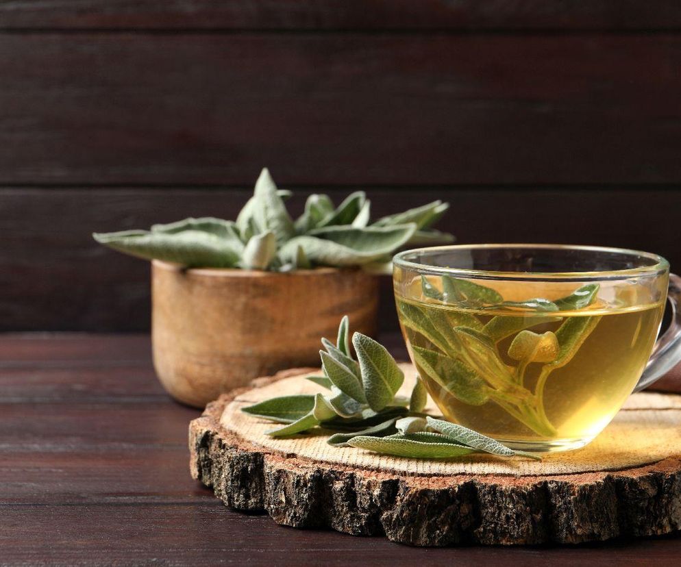 eliksir długowieczności blue zone