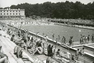 Lato we Wrocławiu czterdzieści lat temu. Tłumy odwiedzały Basen Olimpijski, a na wałach pasły się krowy [ZDJĘCIA]