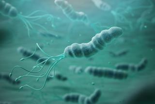 Helicobacter Pylori – naturalne sposoby na jej zwalczenie