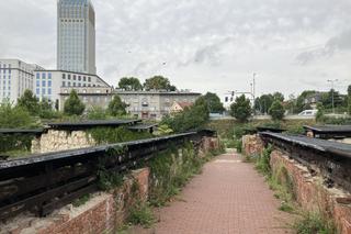 Nietoperze i ptaki bronią przed remontem Bastionu Lubicz na krakowskim Rondzie Mogilskim. Będzie potrzebny wniosek do ochrony środowiska