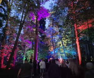 Olsztyn zamienił się w magiczną krainę. Park Świateł przyciągnął tłumy!