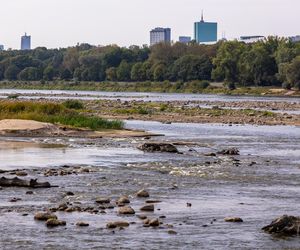 Wisła wysycha - rekordowo nisko poziom wody. Zobacz zdjęcia