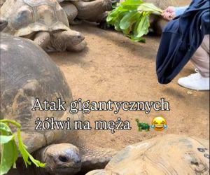 Maciej Orłoś, Paulina Orłoś