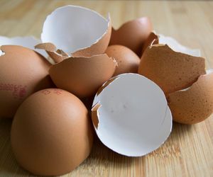 Jak wykorzystać skorupki po jajkach? 6 patentów na zastosowanie skorupek jaj 