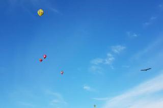 Zawody balonowe w Krośnie