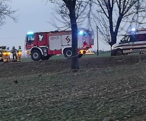 Poważny wypadek drogowy w Gustawowie. Auto roztrzaskało się na drzewie