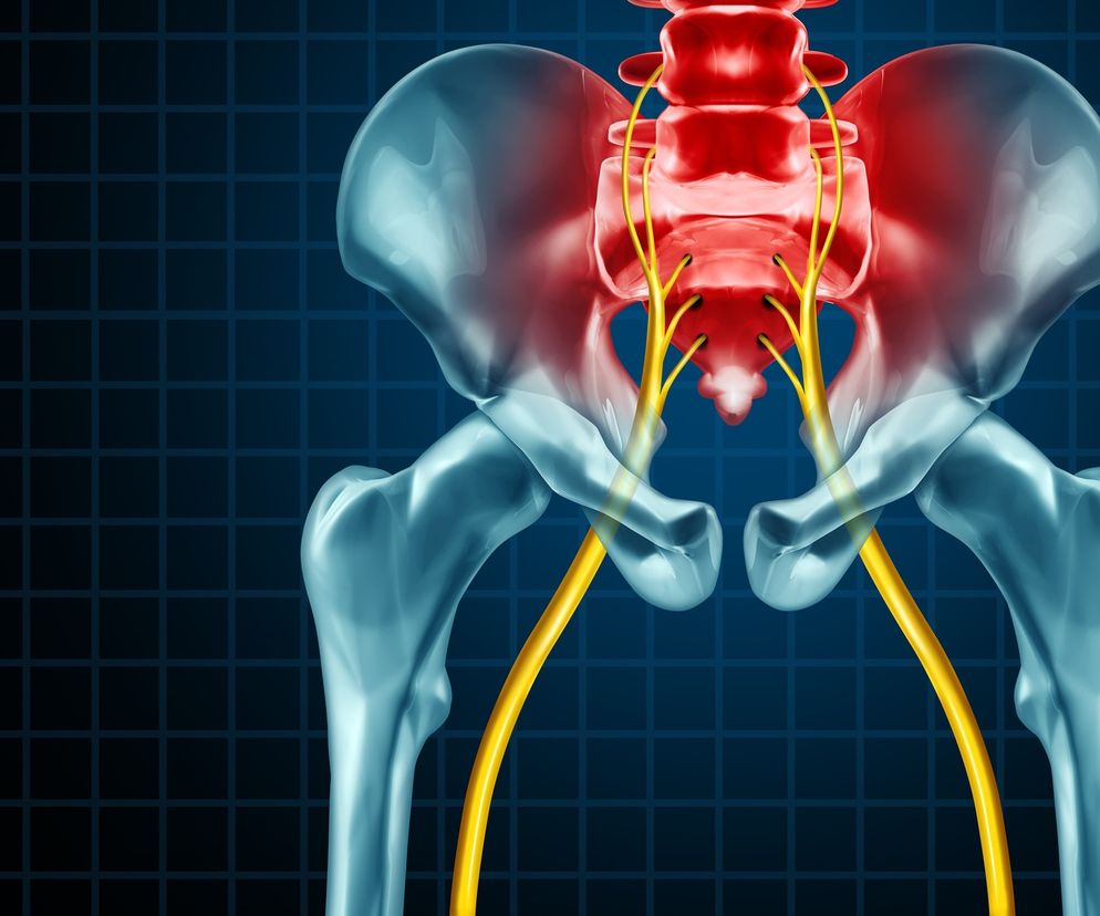 Nerw kulszowy - przebieg, funkcje, choroby