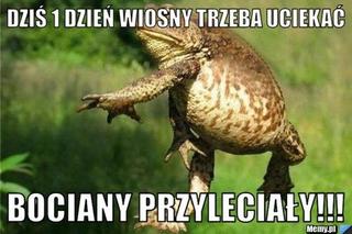 Pierwszy Dzień Wionsy - memy