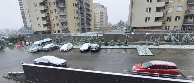 Śnieg w Rzeszowie [GALERIA]