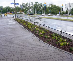 Kontrowersyjny skwerek na Ursynowie latem 2025