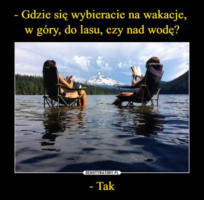 Polacy na wakacjach dają czadu! Zobacz NAJLEPSZE MEMY: Janusz i Grażyna w formie