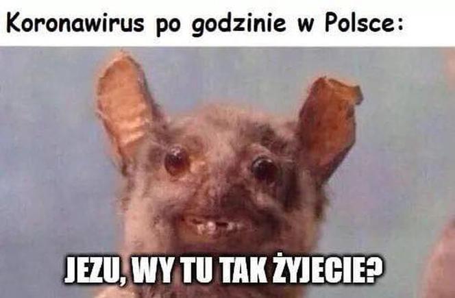 Memy o koronawirusie 2020