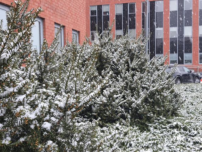 Śnieżyca nad Warszawą. Kiedy przestanie padać?