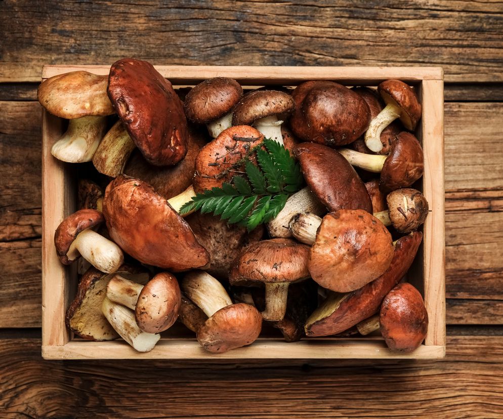 Maślaki: obierać, czy nie obierać? Jak łatwo obrać maślaki?