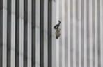 9. rocznica ataku na World Trade Center. Najbardziej dramatyczne chwile zamachu na WTC ZDJĘCIA