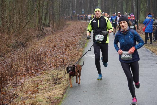 City Trail w Bydgoszczy. Miłośnicy biegania opanowali Myślęcinek [ZDJĘCIA]