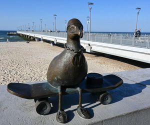 To nietypowa atrakcja Kołobrzegu. Wszystko powstało przez niewinny żart z mewą w butach 